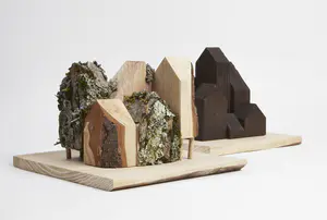 Lichen as bioindicators

Lichen Vs Carbon. These concept models look to document both the current state of Dudley Highstreet and the vision looking towards the future within this thesis project.

The lichen covered model looks towards a future in Dudley that is rich in texture, colour, nature and oxygen. Natural materials promote natural growth, and textures such as rough sawn timber and stone are the prefect hosts for lichen. All new buildings in Dudley would benefit massively from following a fabric first approach and adopt the use of sustainable and recycled building materials along with systems that use minimal energy.

The lichen model represents a vision for this thesis, buildings that are covered in natural materials and lichens that help sequester carbon and promote a healthier Highstreet. Suggestions of raised buildings also proposes less disruption to the ground and natural landscape, giving plants and animals the opportunity to thrive in an otherwise hostile concrete environment. Raised buildings also look towards a future planet with rising sea levels, future factors that will drastically affect the way we carry out daily lives and futureproofing all buildings for generations to come.

This second model uses the Shou Sugi Ban method of charring timber to waterproof it. In this case however it represents the embodied carbon and pollution within the highstreet as it exists now. The simplicity and repetition is also used to symbolise the plain nature of the highstreet with only a few materials exhibited, mainly brick & concrete. Once burnt the timber forms were brushed with wire wool to reveal the natural grain of the wood, a visual representation of degradation of layers of buildings that are built poorly or not constructed to last longer than a generation.